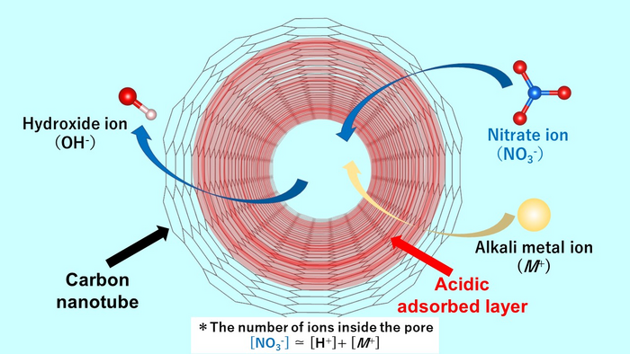 The acid layer of carbon nanotubes allows for the entrapment of anion impurities