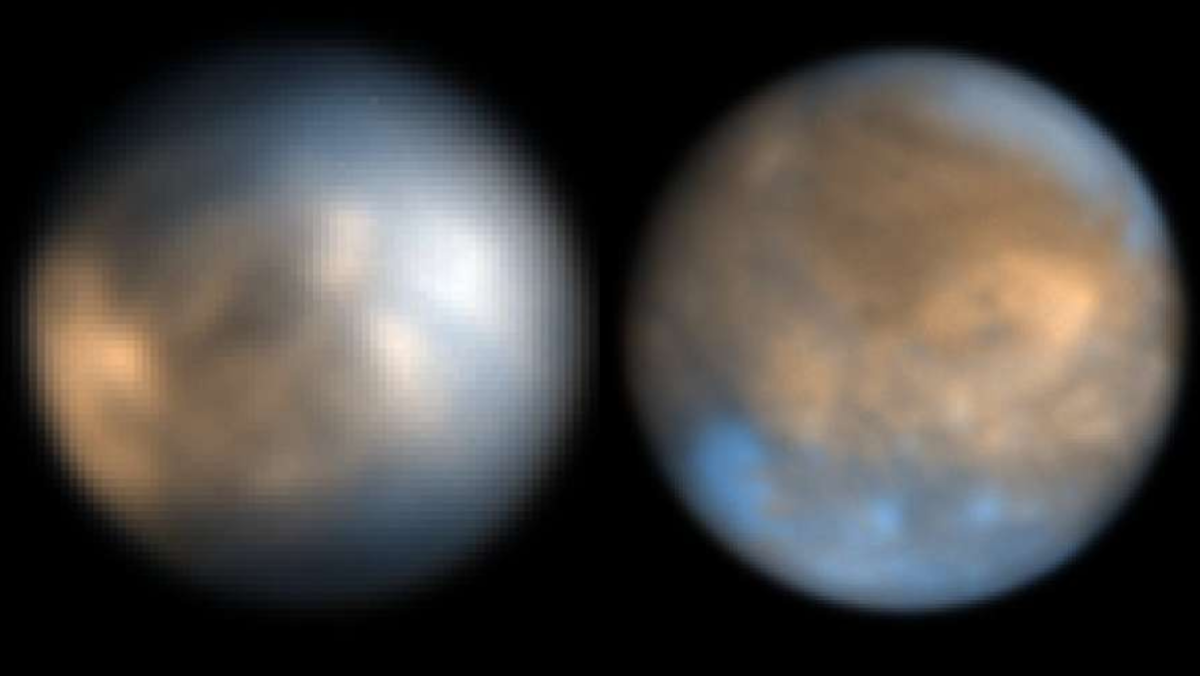 two fuzzy brown circles tinged with blue