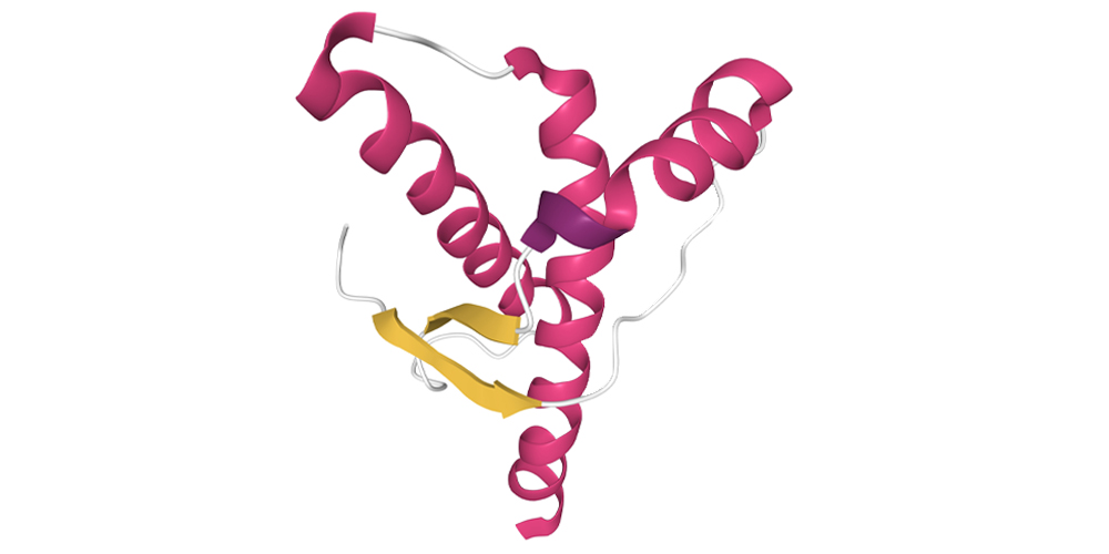 The origin of prions is key to the study of chronic wasting disease