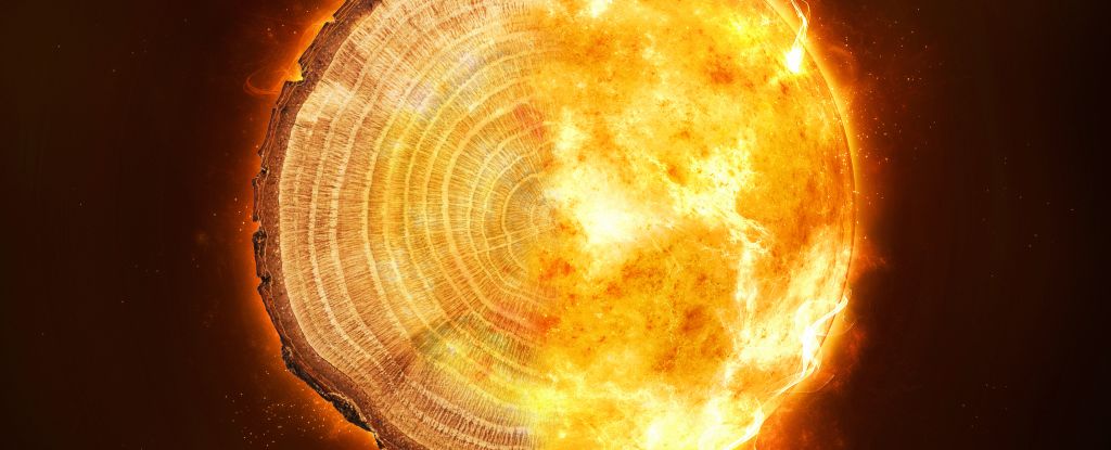 Tree Ring's chronicle of a mysterious cosmic storm that strikes every thousand years