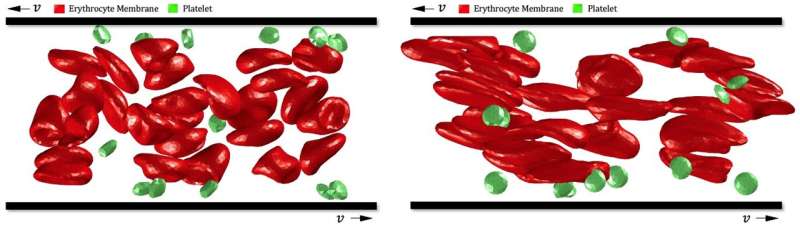 Simulating the shear destruction of red blood cells